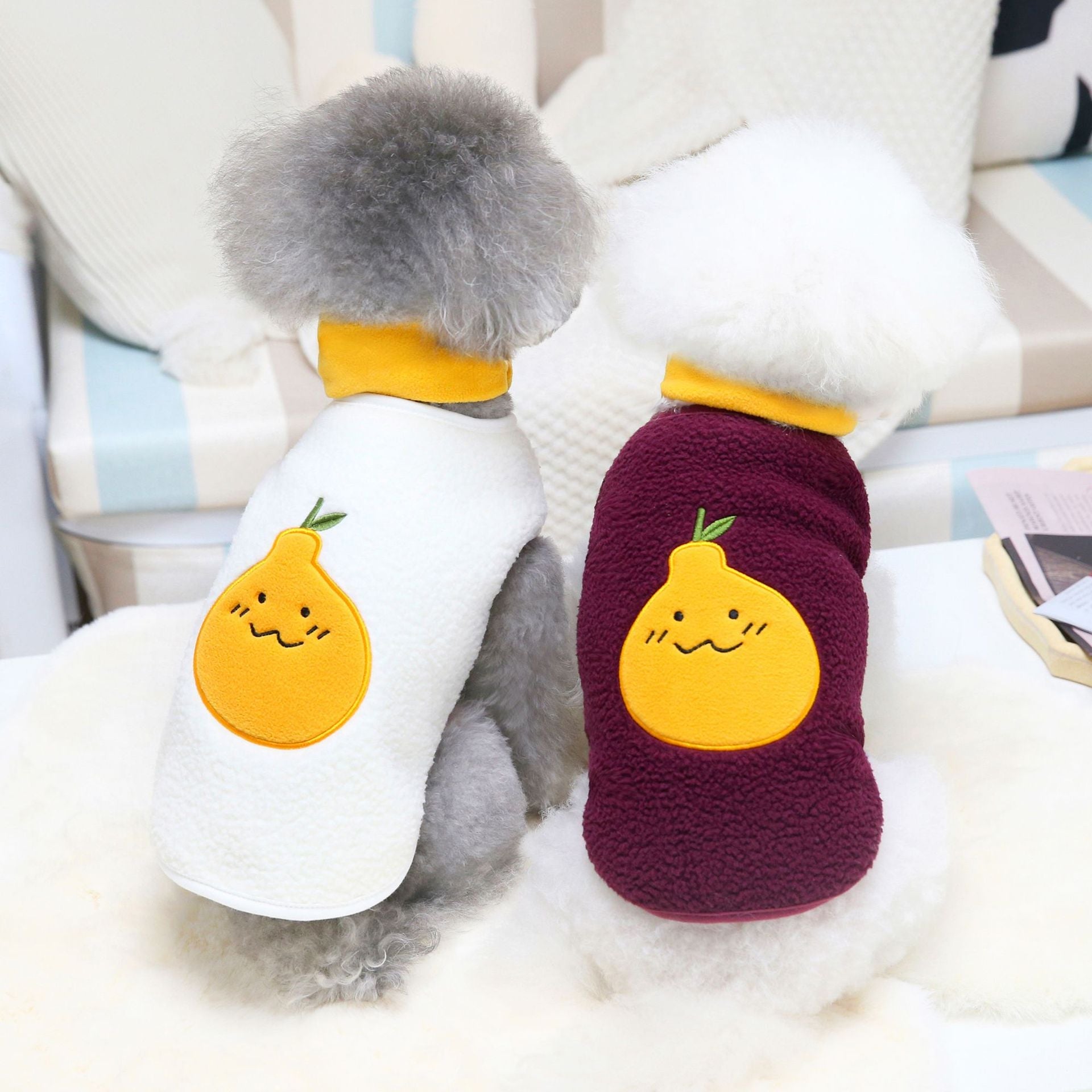 Dress Your Pet in Style with the Teddy No Pear Down Jacket
