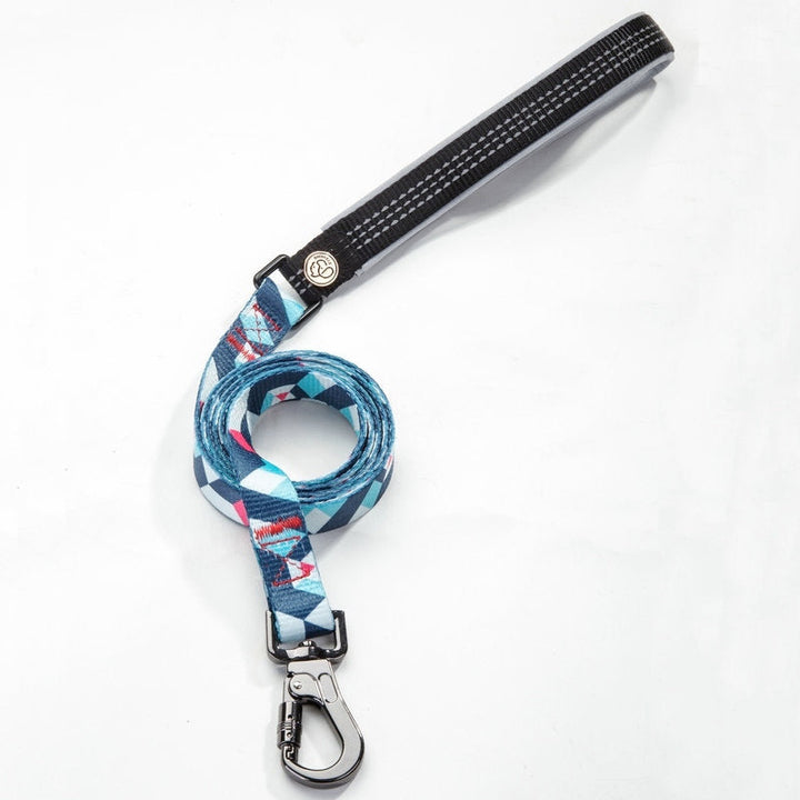 Why Our Pet Supplies Dog Leash is a Must-Have for Every Dog Owner
