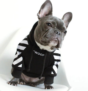 Keep Your Furry Friends Cozy with Autumn and Winter Sports Dog Clothes