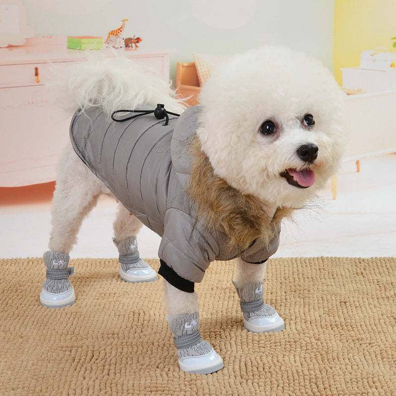 Why Your Pet Needs a Winter Down Padded Jacket