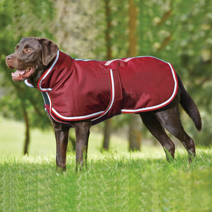 Keep Your Pet Stylish and Dry with Our Pet Leisure Waterproof Jacket