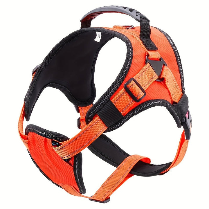 Elevate Your Dog Walking Experience with Our High Quality Dog Leash