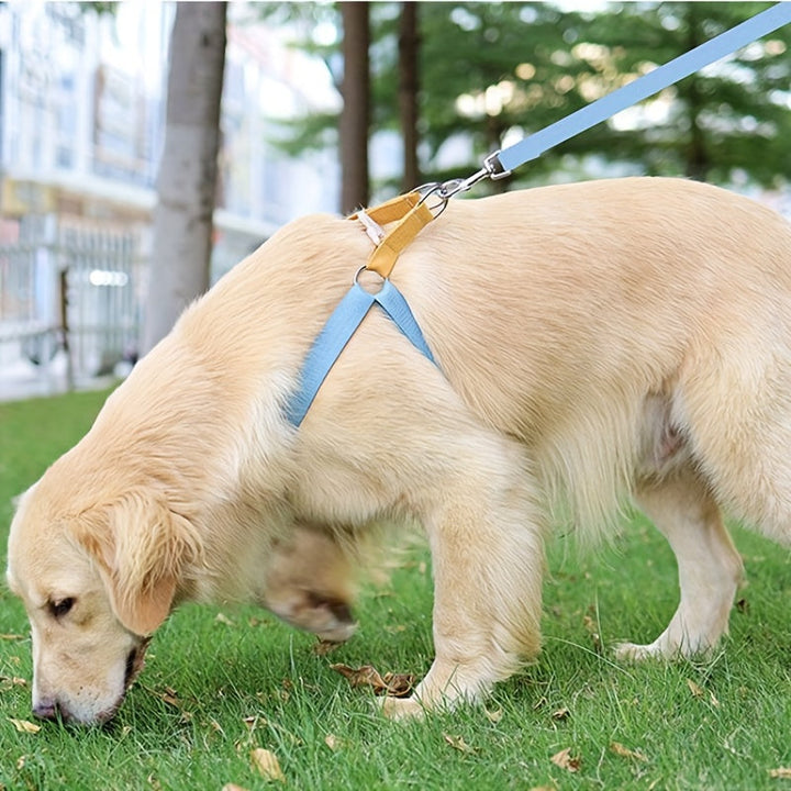 The Ultimate Guide to the Vest Type Dog Harness Chest Leash