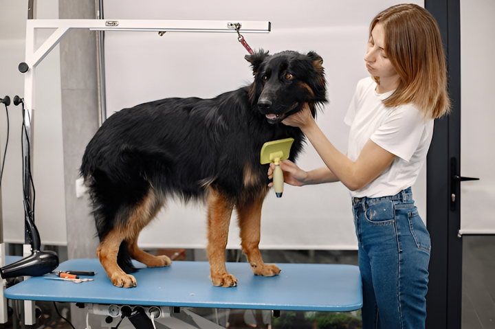 Grooming Tools That Make Care Easy