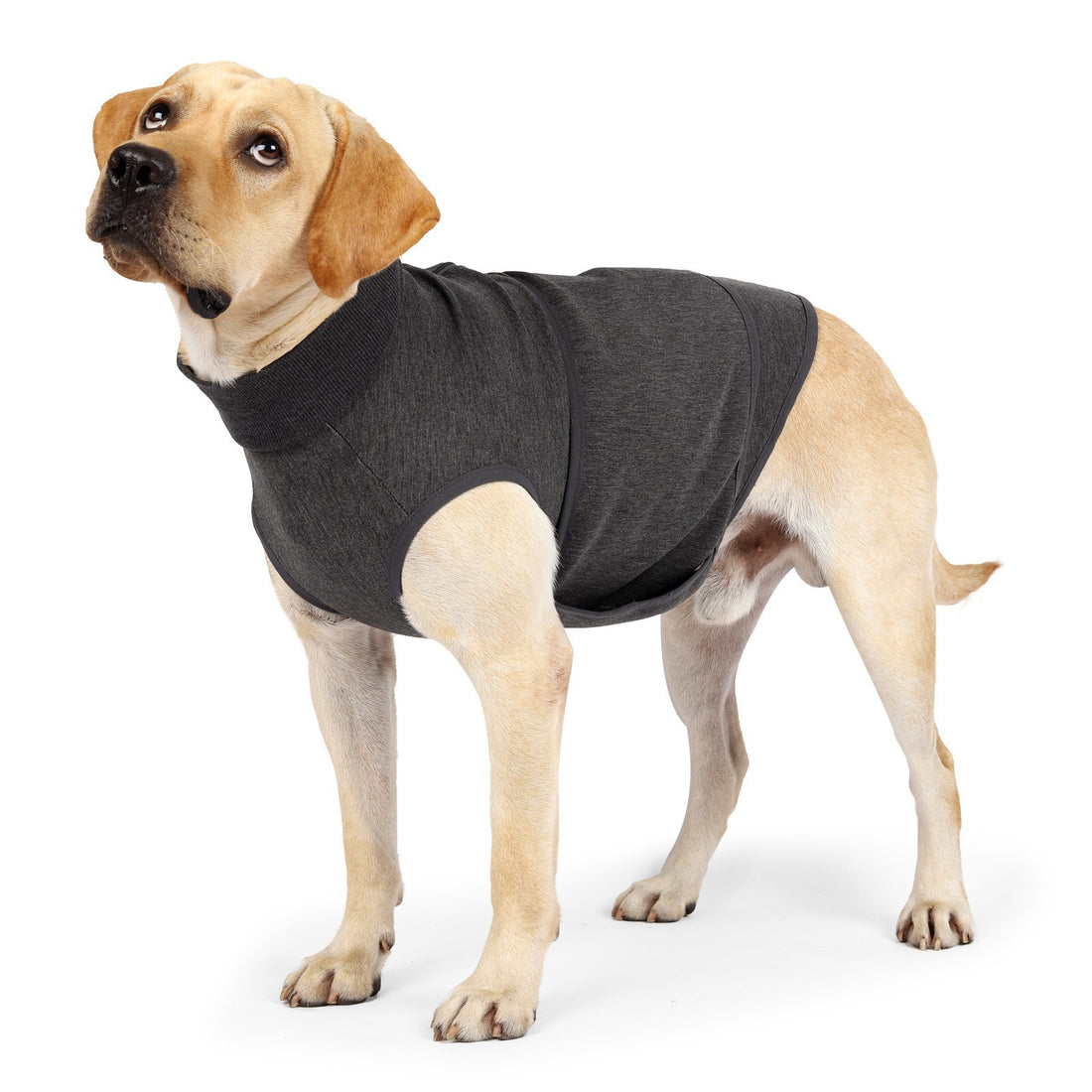 Pet Comfort Cotton Double Jacket Clothes