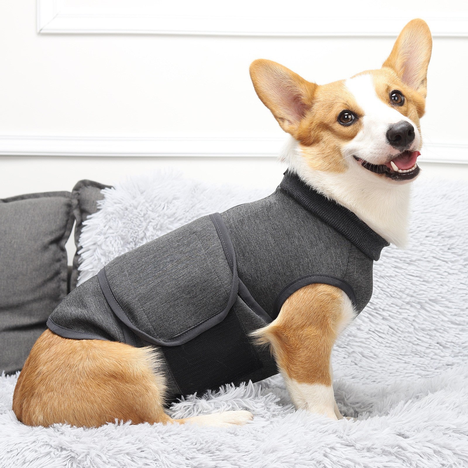 Pet Comfort Cotton Double Jacket Clothes