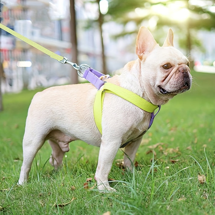 Vest Type Dog Harness Chest Leash