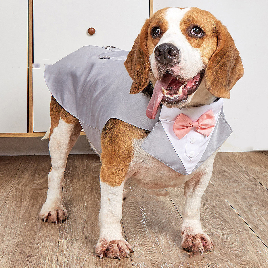 Pet Wedding Clothing Suit Jacket
