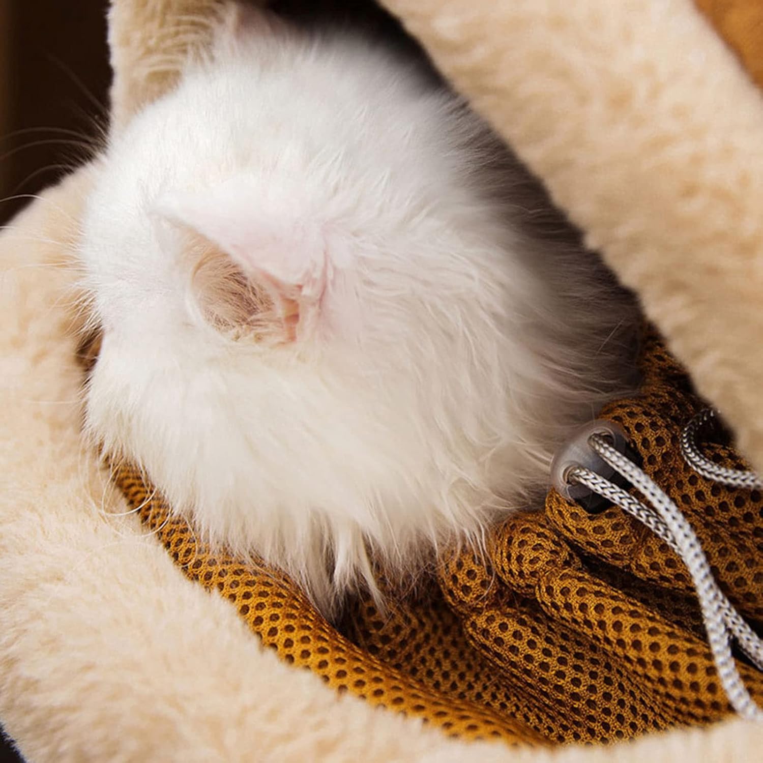 Carrier Bag Backpack Carrier Dog Travel Bag