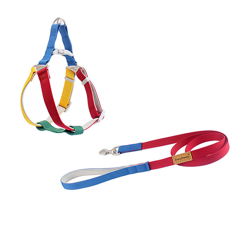 Hand Holding Rope Outing Dog Leash