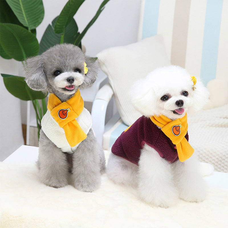 Pet Clothes Teddy No Pear Down Jacket