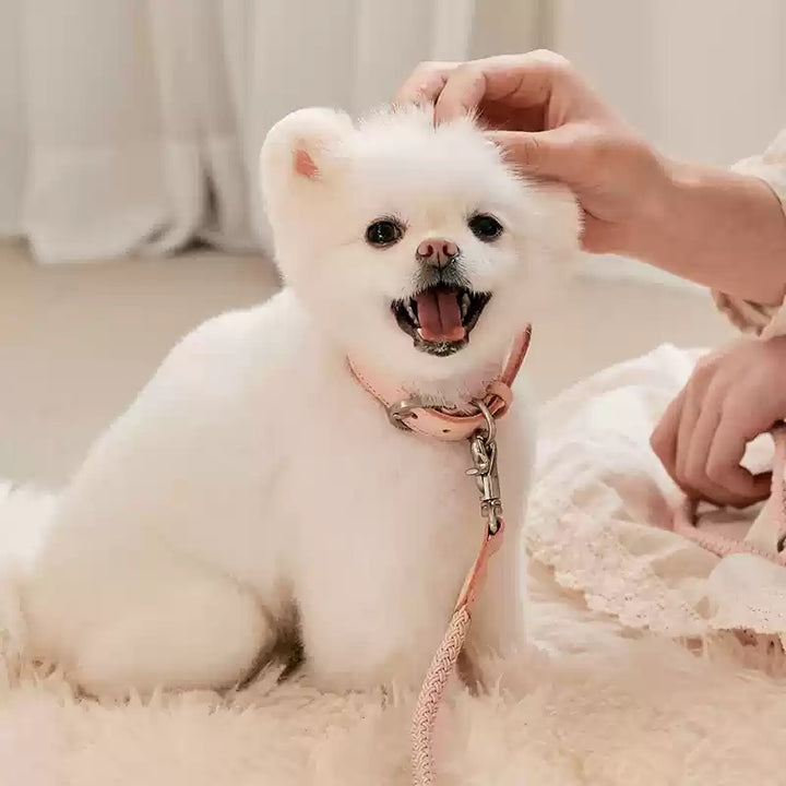 Leather Hand Holding Rope Dog Leash