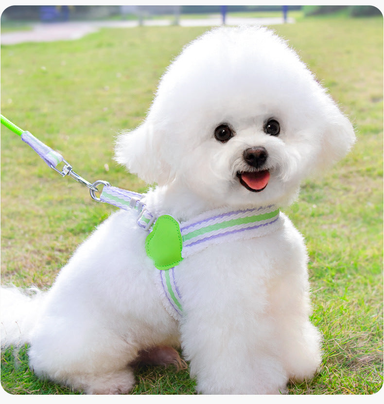 Dog Leash Summer Breathable