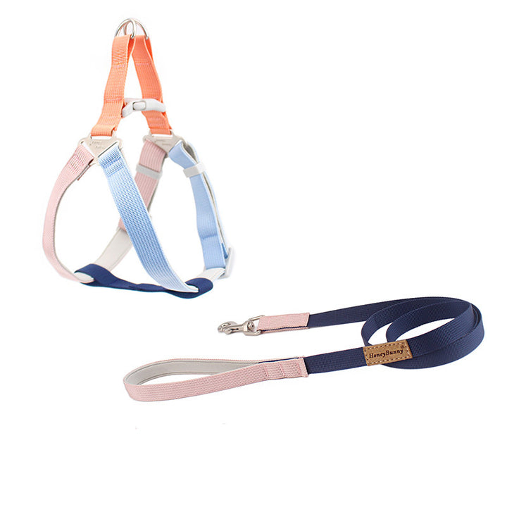 Hand Holding Rope Outing Dog Leash