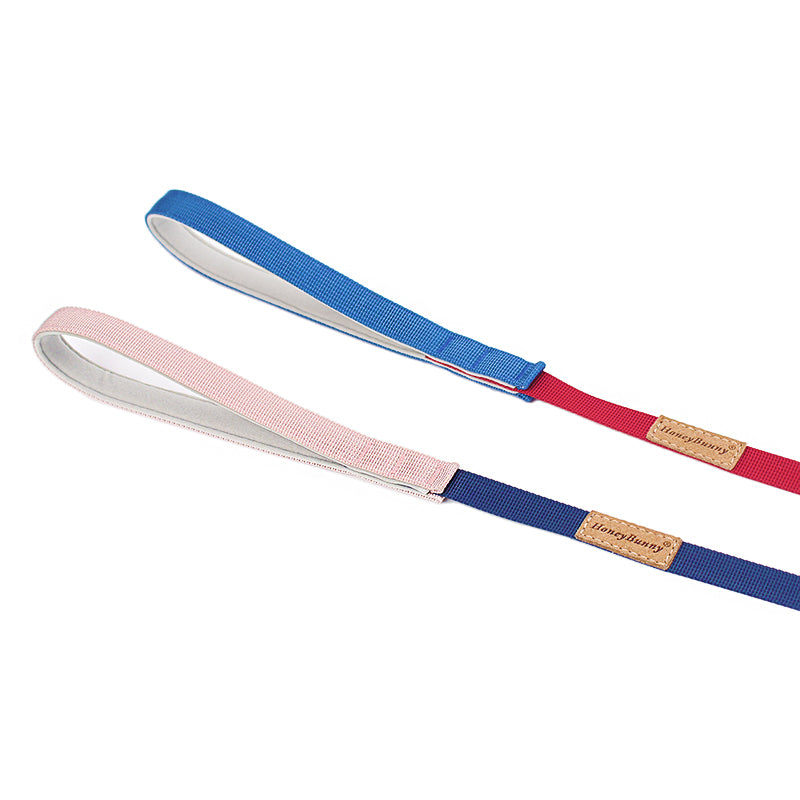 Hand Holding Rope Outing Dog Leash