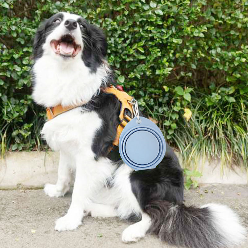 Pet Silicone Foldable Bowl Outdoor Feeding