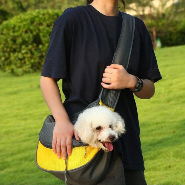 Pet Puppy Carrier Handbag Pouch