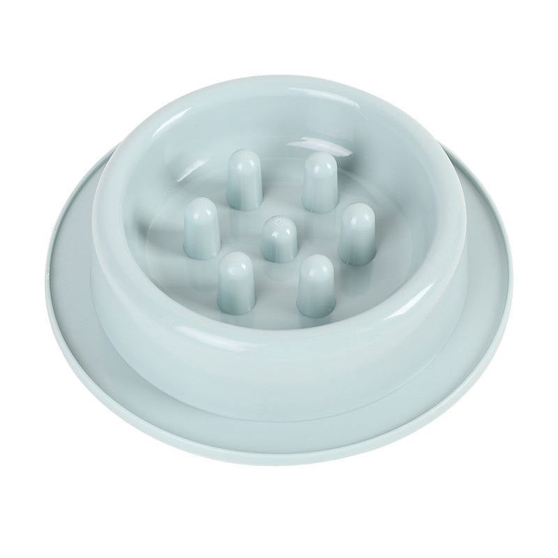 Pet Slow Eating Feeder Dog Feeding