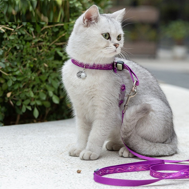 Haulage Rope Package Vest Leash