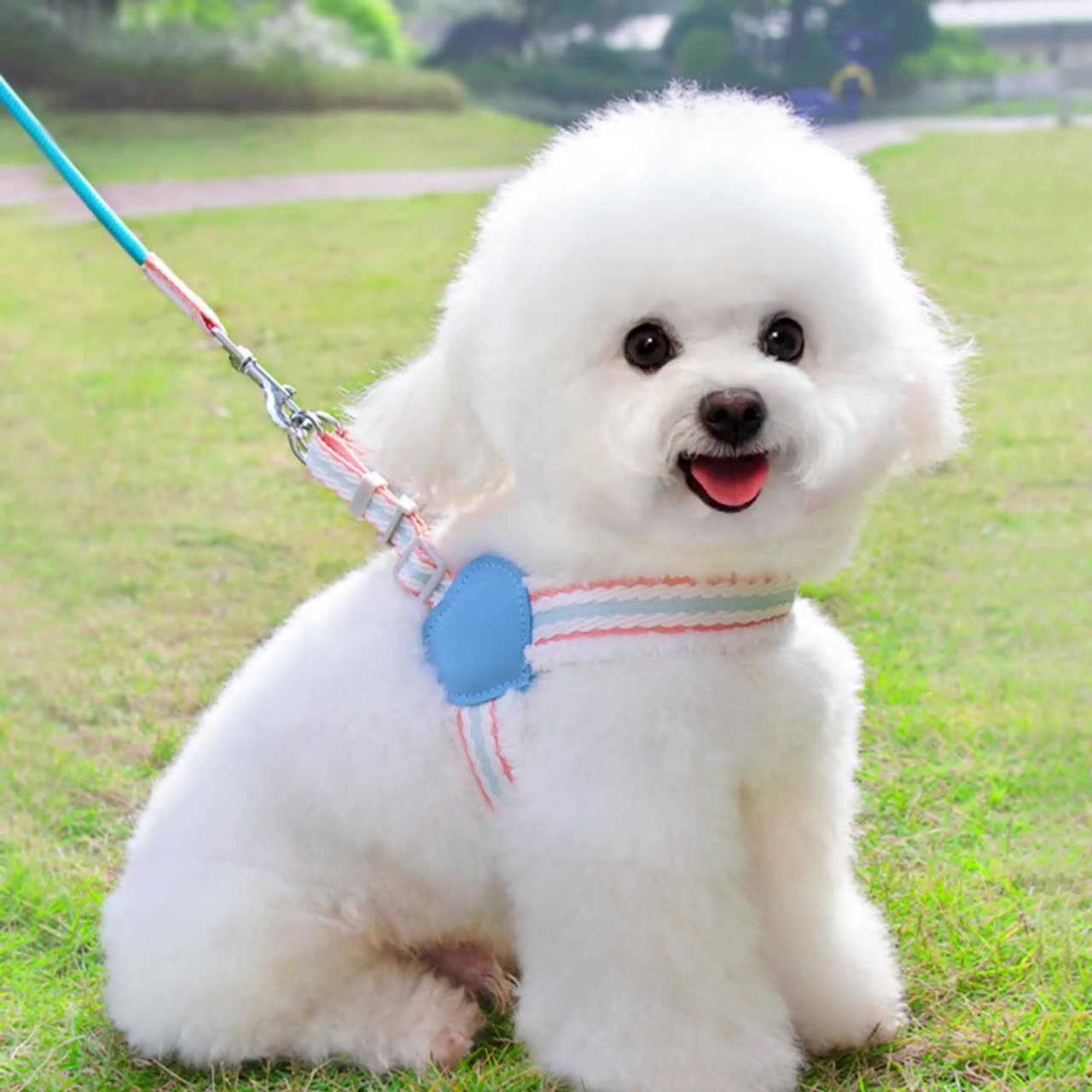 Dog Leash Summer Breathable