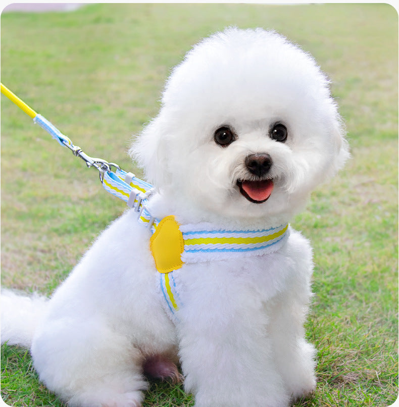 Dog Leash Summer Breathable