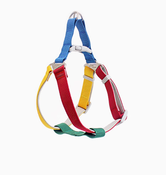 Hand Holding Rope Outing Dog Leash