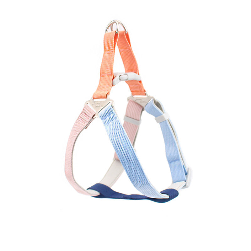 Hand Holding Rope Outing Dog Leash