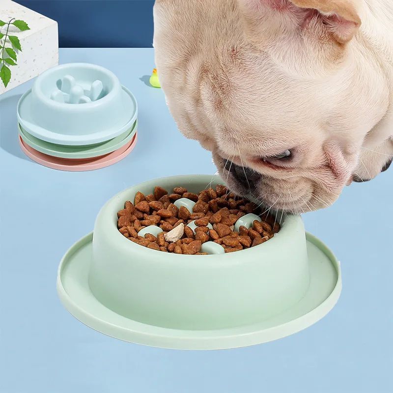 Pet Slow Eating Feeder Dog Feeding