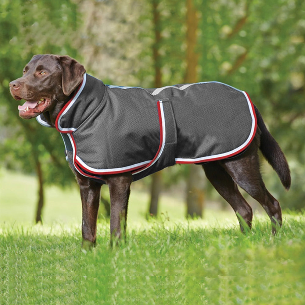 Pet Leisure Waterproof Jacket