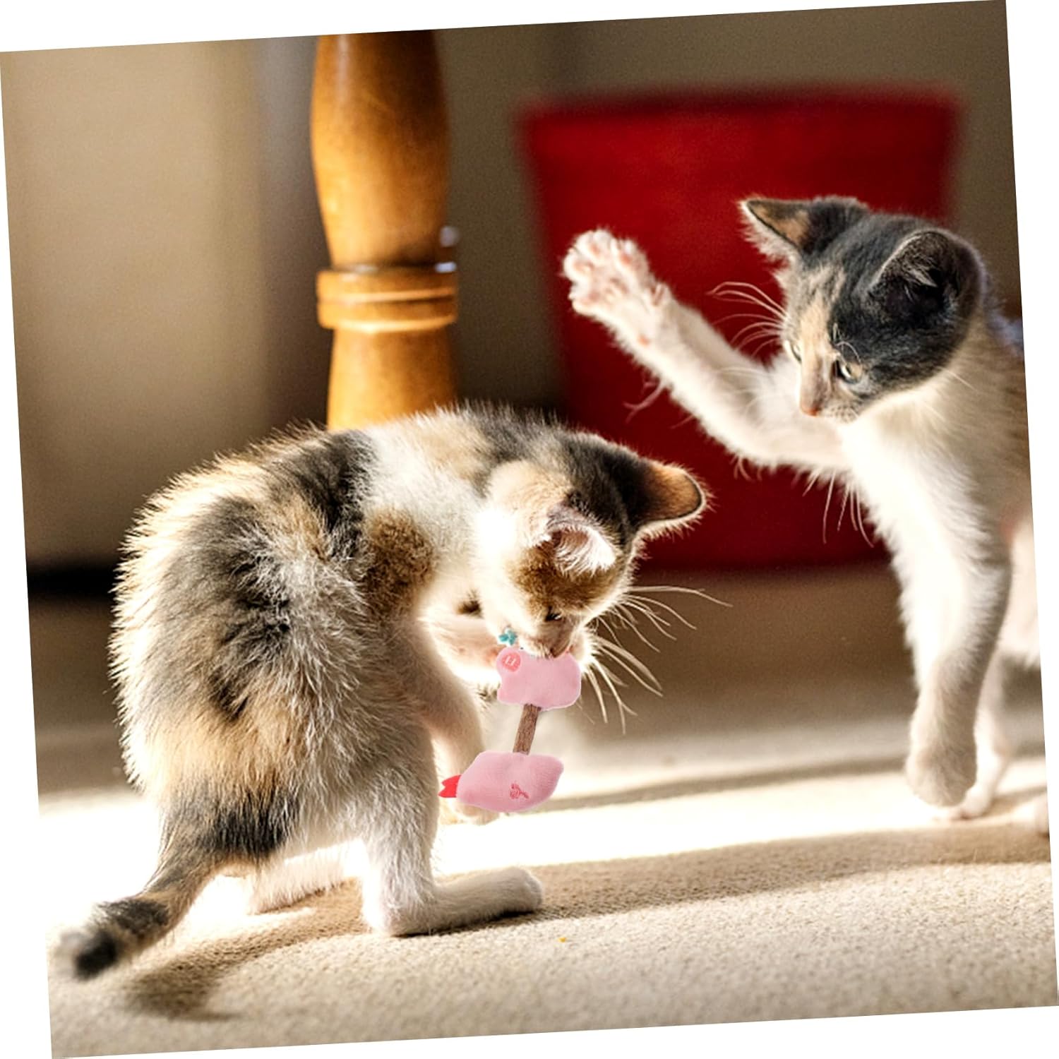 Cat Toy Kitten Toys Teeth Cleaning Toys