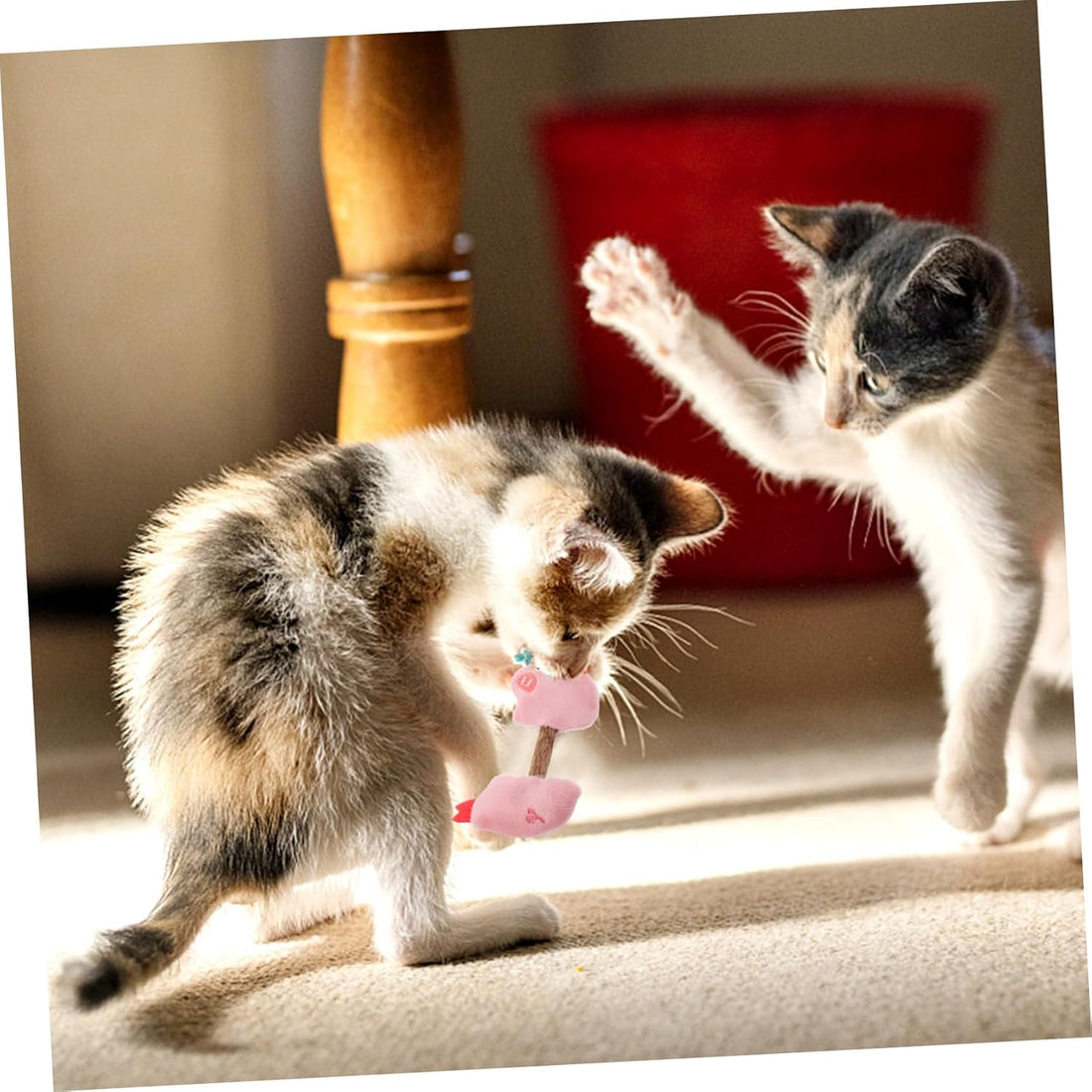 Cat Toy Kitten Toys Teeth Cleaning Toys