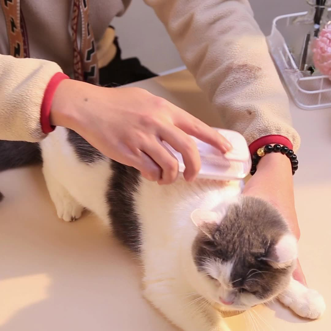 Silicone Bath Brush For Pets Massage Brush