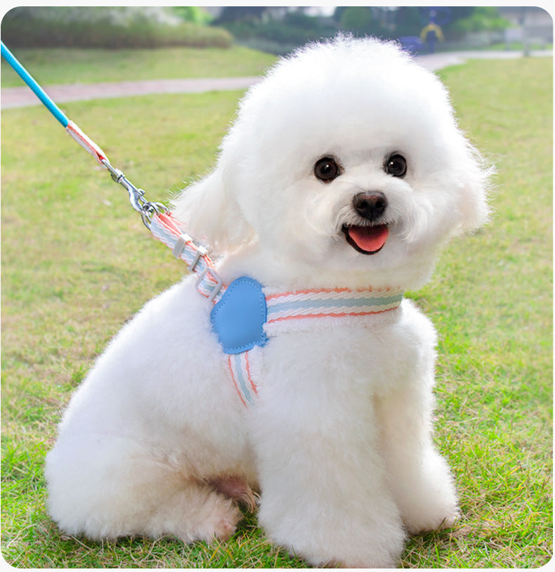 Dog Leash Summer Breathable