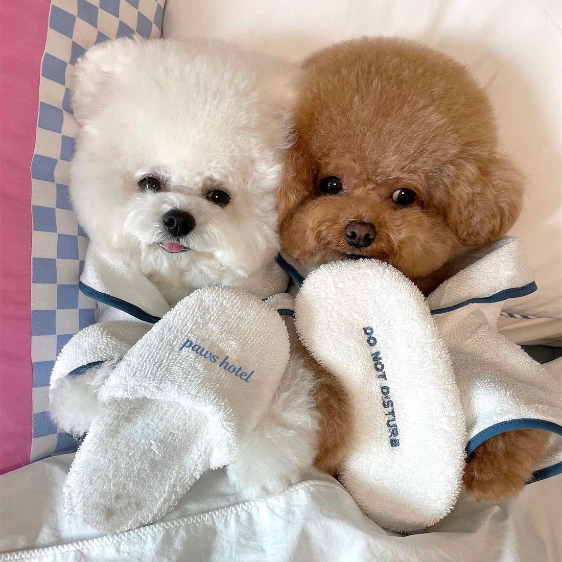 Pet Bath Towel Bathrobe