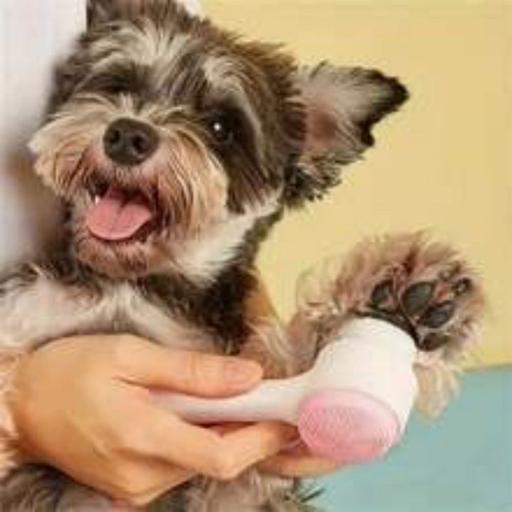 Nylon Pet Paw Brush Gentle Grooming