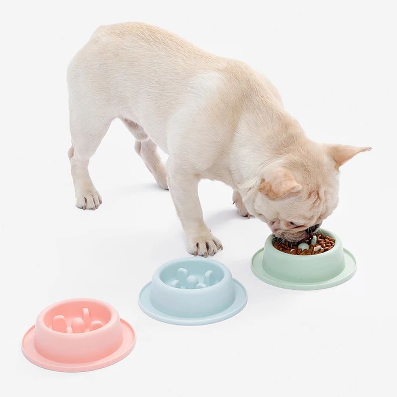 Pet Slow Eating Feeder Dog Feeding