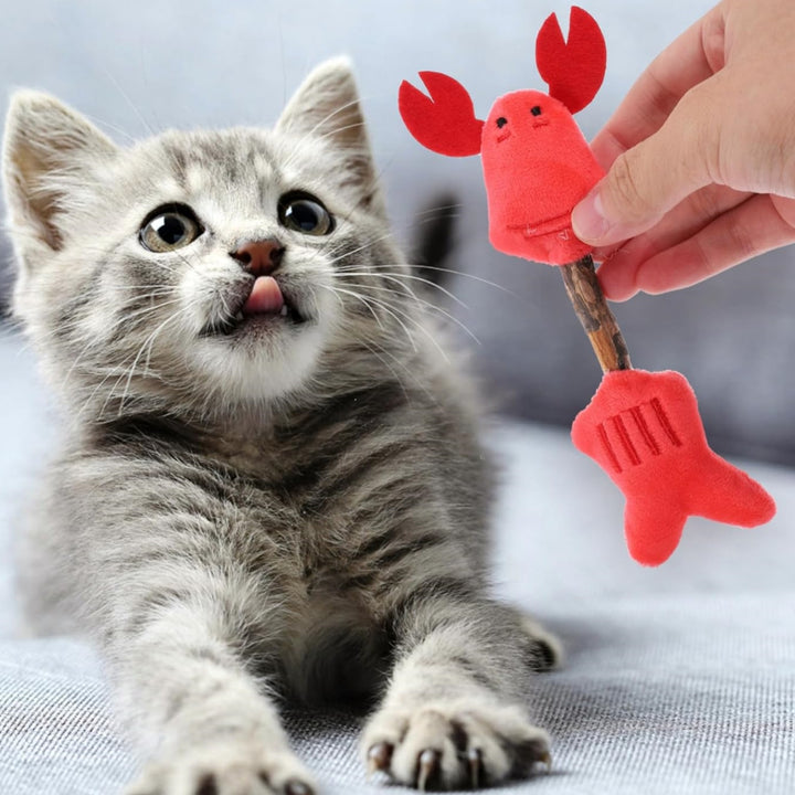 Cat Toy Kitten Toys Teeth Cleaning Toys