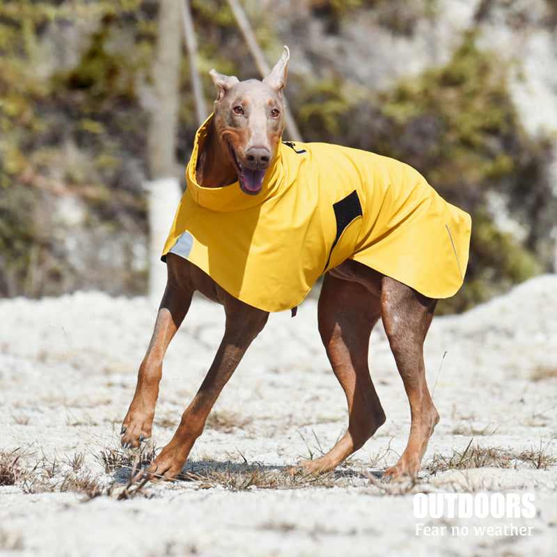 Pet Shell Jacket Dog Waterproof