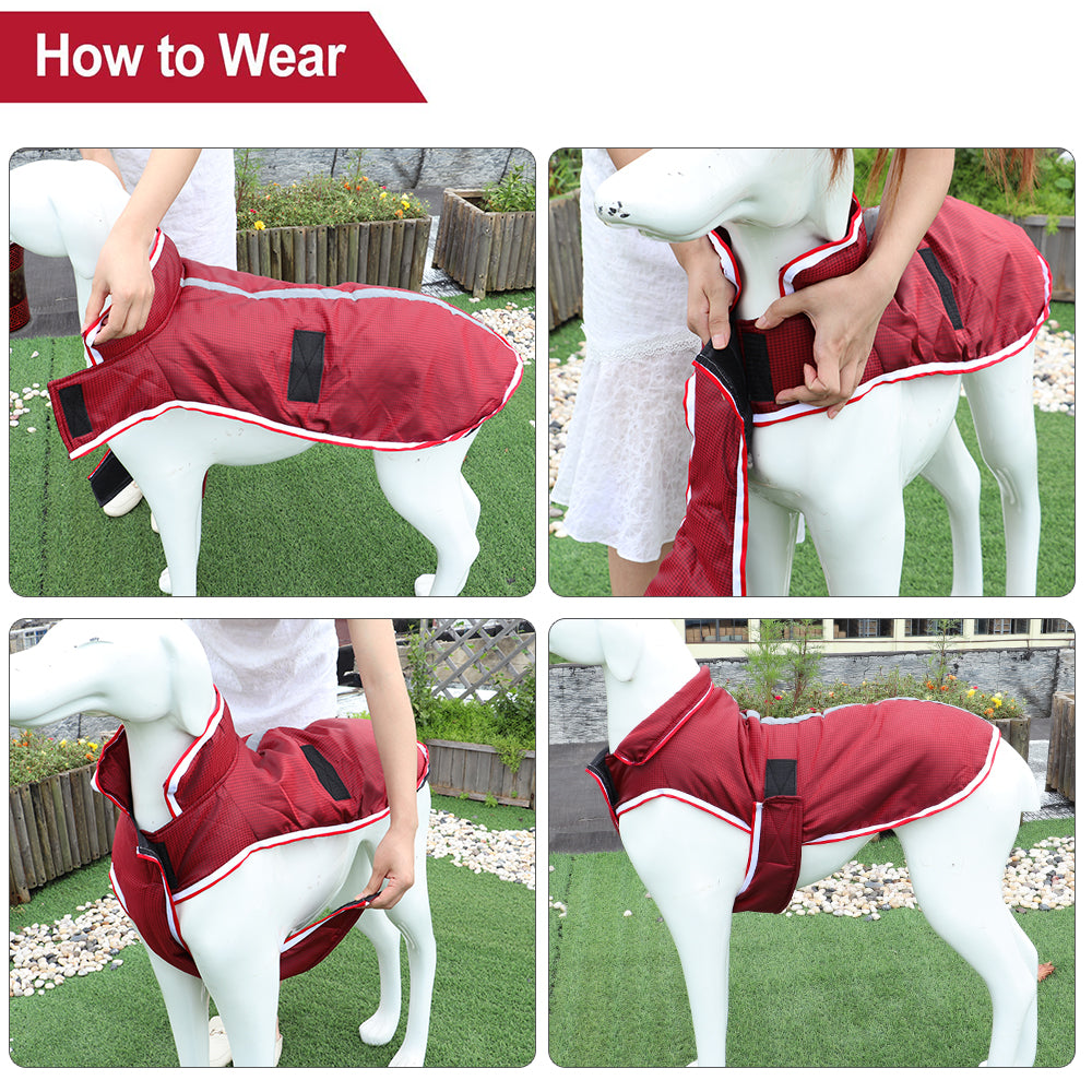 Pet Leisure Waterproof Jacket