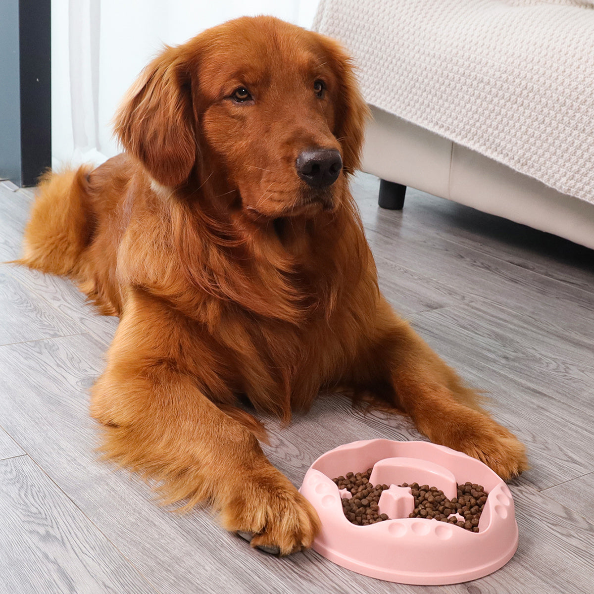 Pet Slow Food Bowl Large Capacity