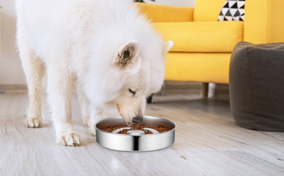 Pet Slow Feeding Bowl Stainless Steel