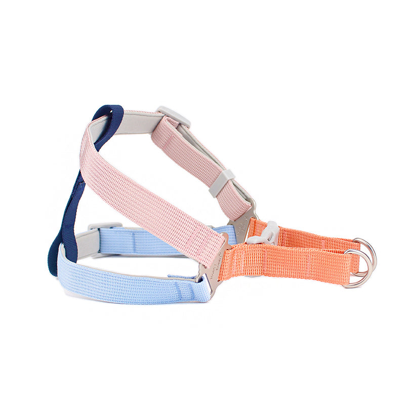 Hand Holding Rope Outing Dog Leash